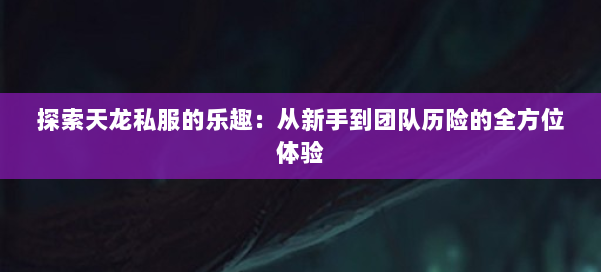 探索天龙私服的乐趣：从新手到团队历险的全方位体验
