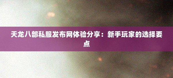 天龙八部私服发布网体验分享：新手玩家的选择要点