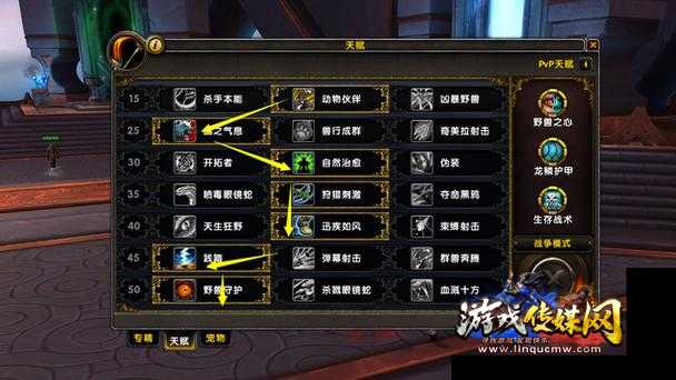 魔兽世界sf80兽王猎人攻略,80级兽王猎人攻略分享