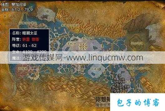 魔兽世界赞加沼泽任务攻略,攻略魔兽世界赞加沼泽任务,高效完成!!