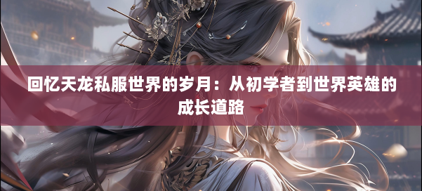 回忆天龙私服世界的岁月：从初学者到世界英雄的成长道路