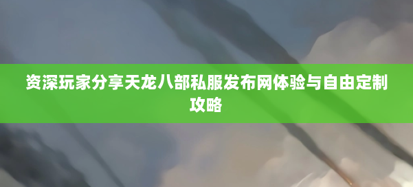 资深玩家分享天龙八部私服发布网体验与自由定制攻略