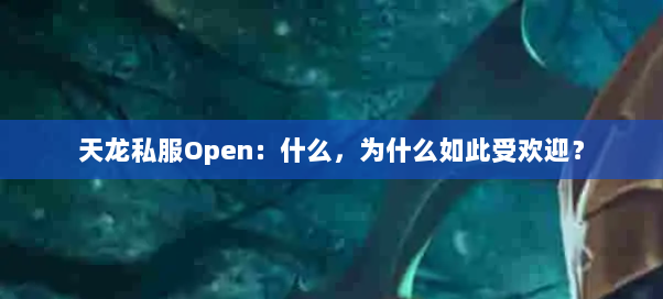 天龙私服Open：什么，为什么如此受欢迎？