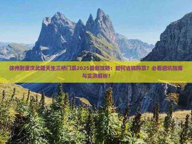 天龙私服真相：别傻傻被这些套路坑了