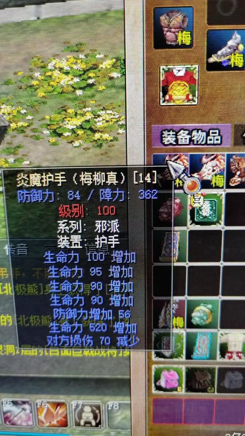天龙sf老玩家掏心窝子：想少走弯路看这篇就够了
